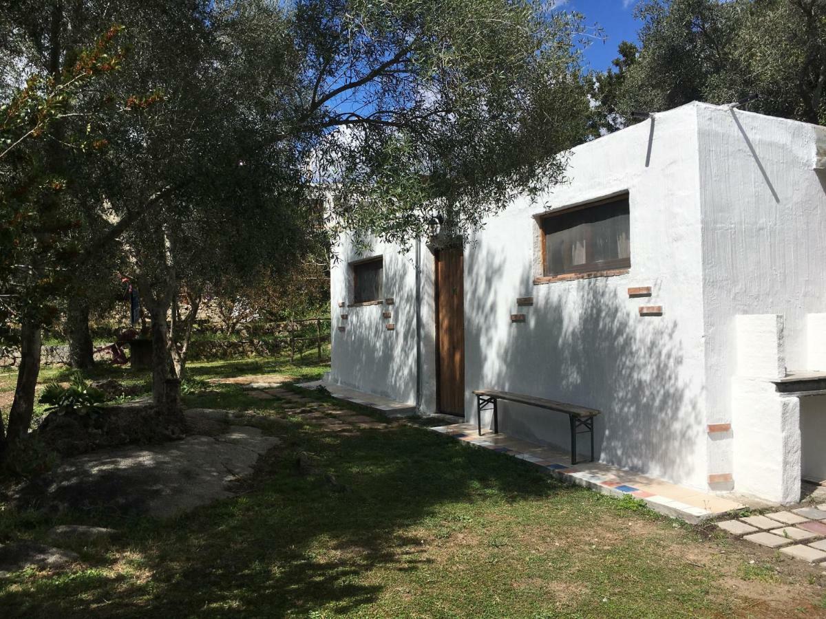S'Imbragu Farm B&B Tortoli Exterior photo
