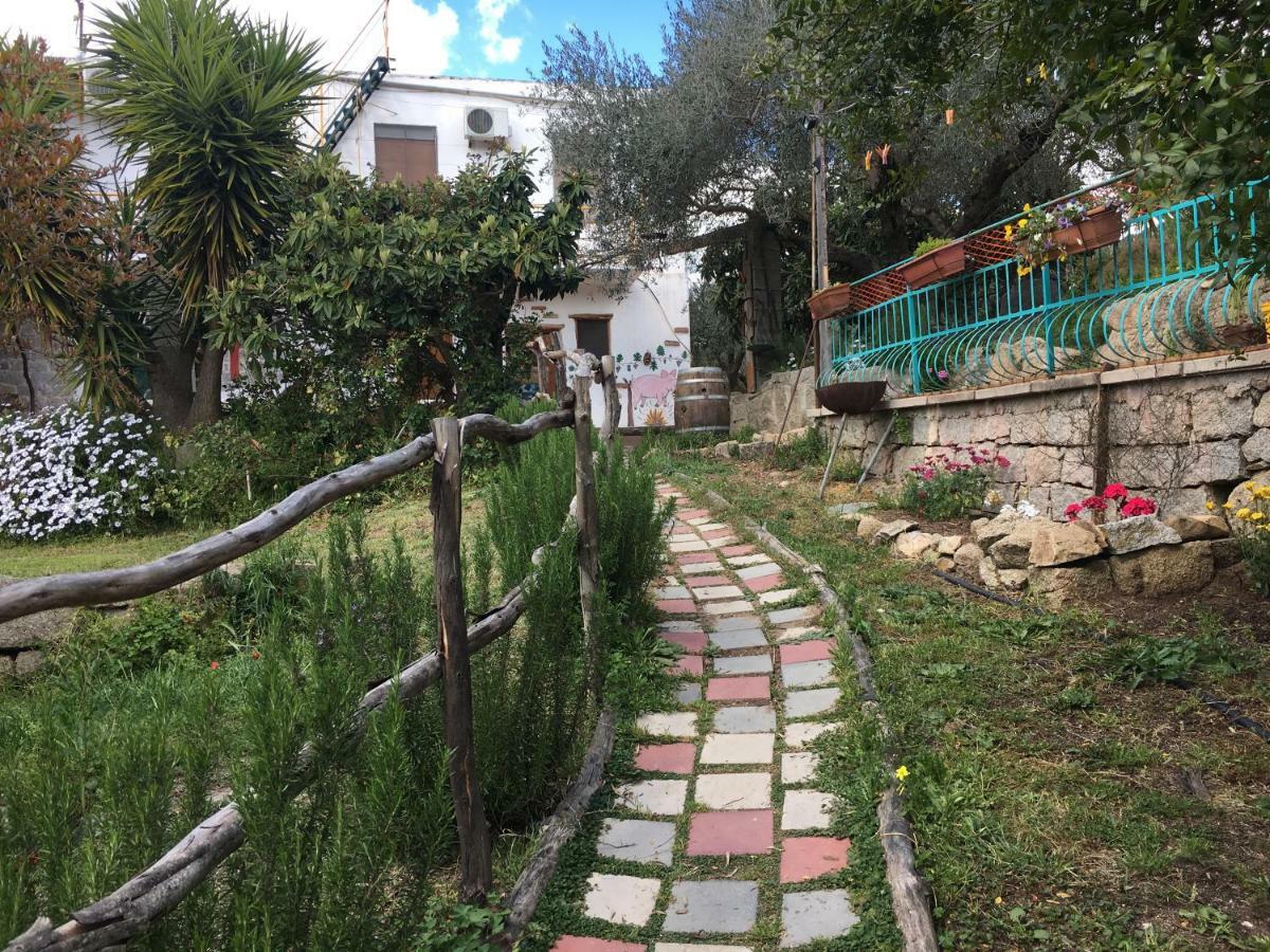 S'Imbragu Farm B&B Tortoli Exterior photo