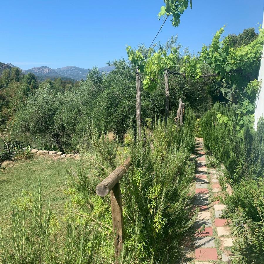 S'Imbragu Farm B&B Tortoli Exterior photo